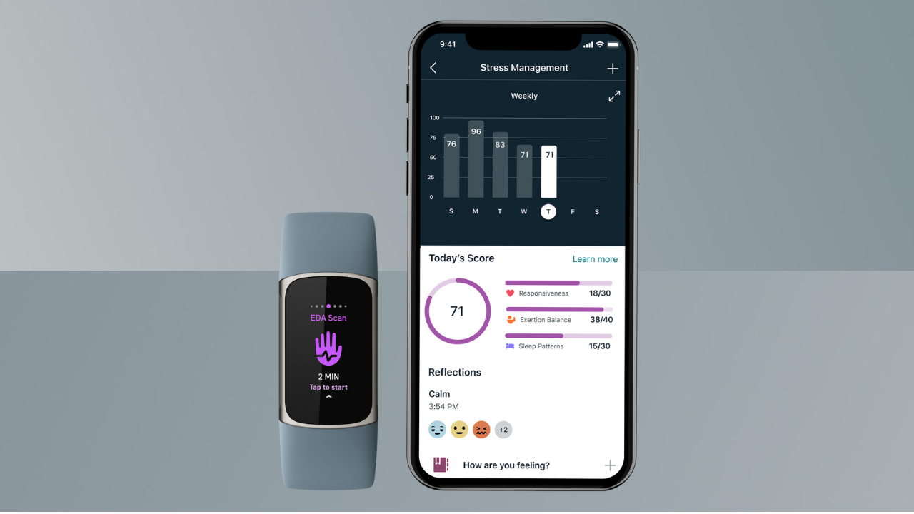 Fitbit stress management section