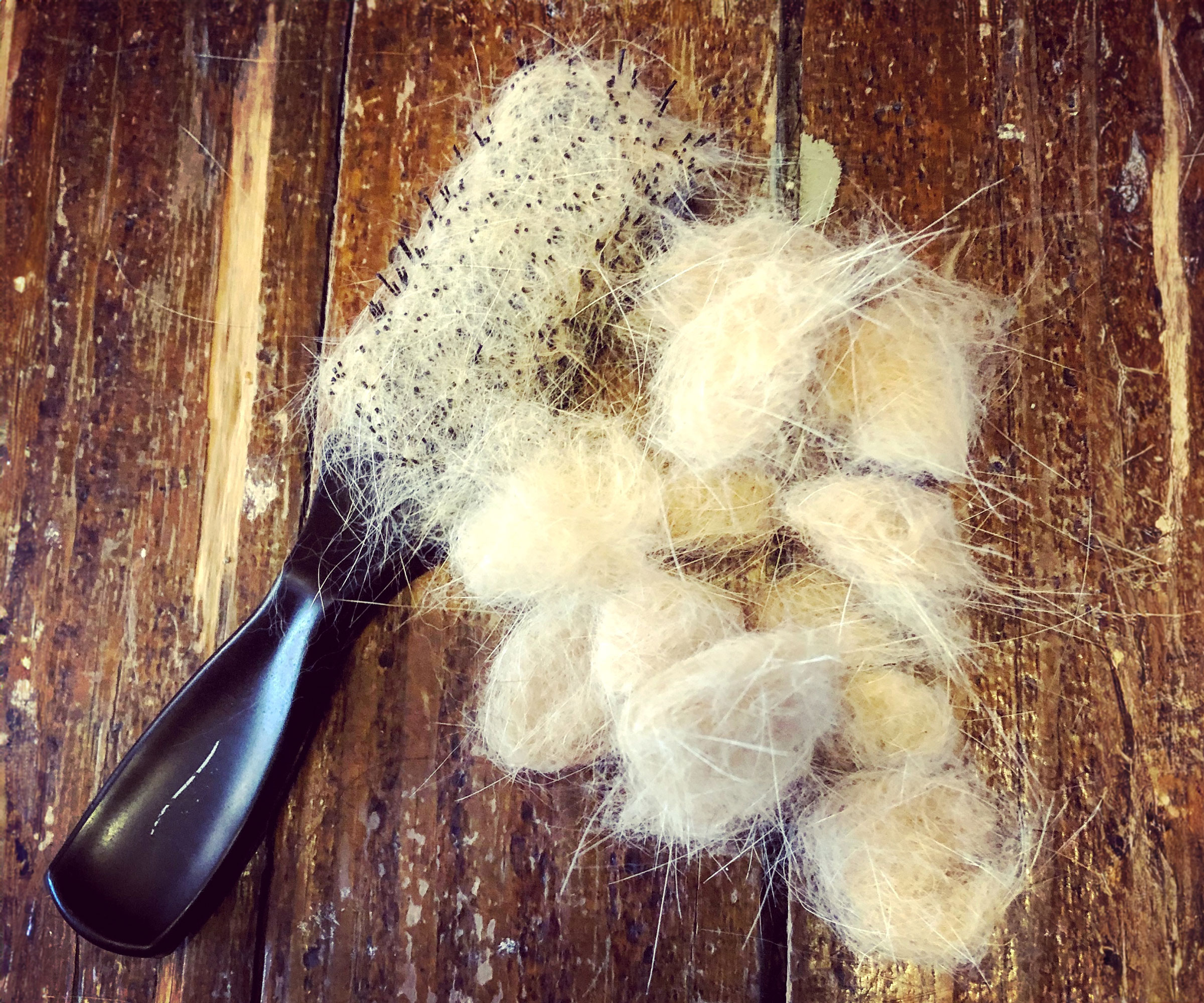 cat brush full of fluff lying on wooden floorboards