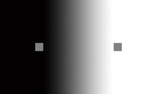 Tonal values: Two grey scares on a gradient background moving from black to white
