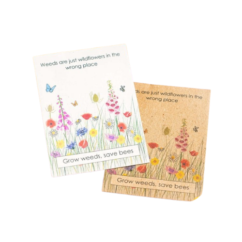 Grow Wildflowers Seed Packet