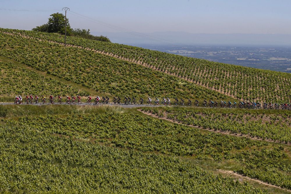 The stage passed through the Rhone valley vineyards