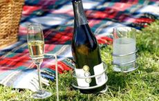 STEADY-STICK-GLASS-AND-BOTTLE-PICNIC-SET.jpg