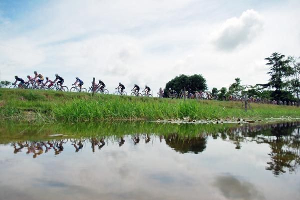 The peloton riding beside a day on stage eleven.