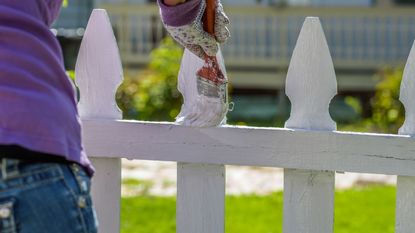 Painting a fence