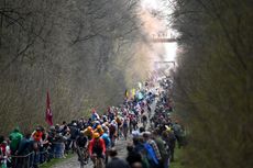 Arenberg forest in Paris-Roubaix 2023
