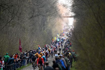 Arenberg forest in Paris-Roubaix 2023