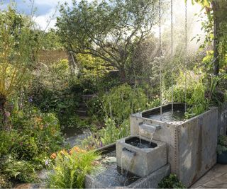 The Flood Re Flood Resilient Garden at the RHS Chelsea Flower Show
