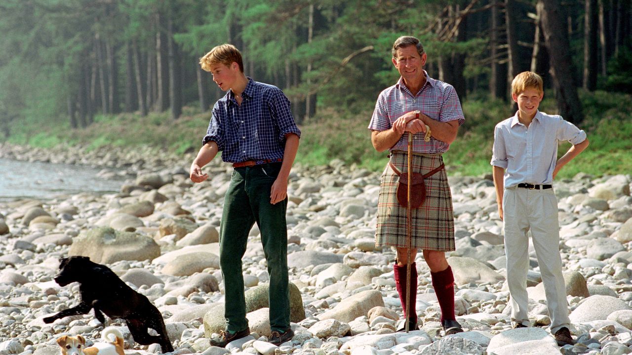 princes william and harry and prince charles on beach