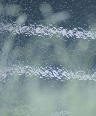 A frosted glass screen with green grass strands behind it