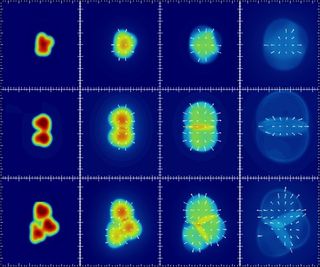 This graphic shows how different types of atomic collisions produce quark-gluon plasmas in distinct shapes over time. In the top row, a single proton was smashed into a gold atom to create a circular blob of plasma. In the middle row, a collision between a deuteron (a proton-neutron pair) and a gold atom forms an elliptic blob. In the bottom row, a collision between helium-3 and a gold atom forms a triangle.