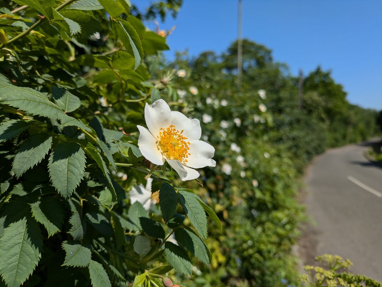 Google Pixel 8a