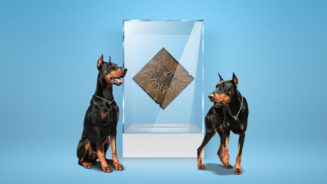 Illustration of two Doberman dogs guarding a semiconductor protected in a glass case