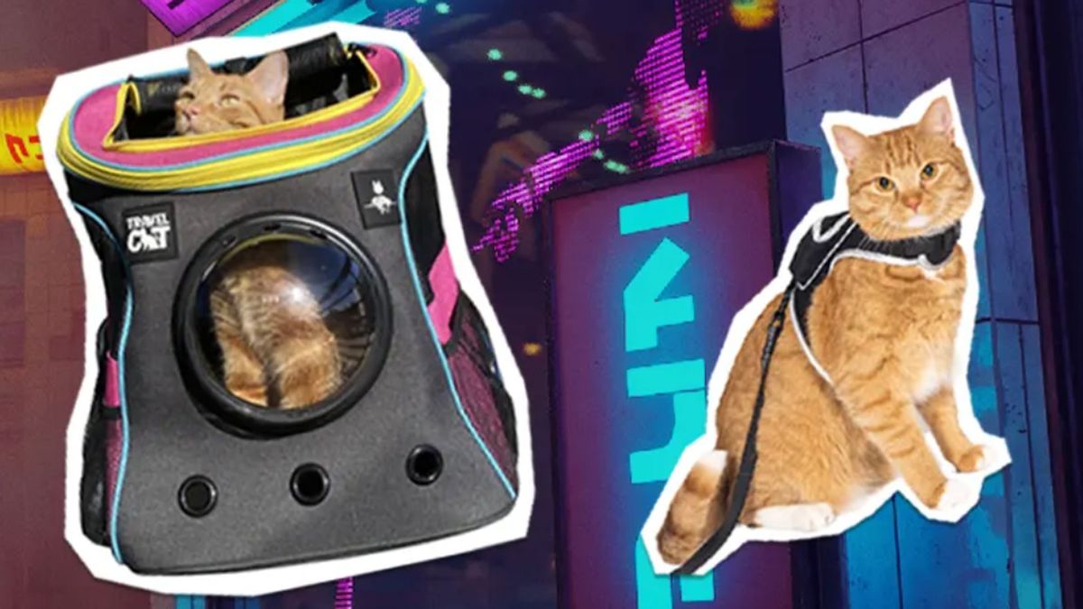 These Stray-Branded Accessories Let You Transport Your Cat With Futuristic  Flair - Game Informer