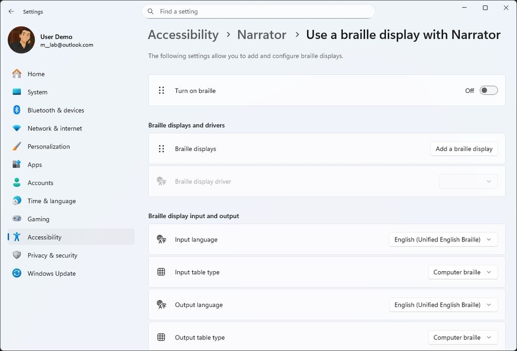 Braille viewer settings for Windows 11