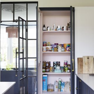 kitchen with pantry cupboard, purple cabinets and glass door
