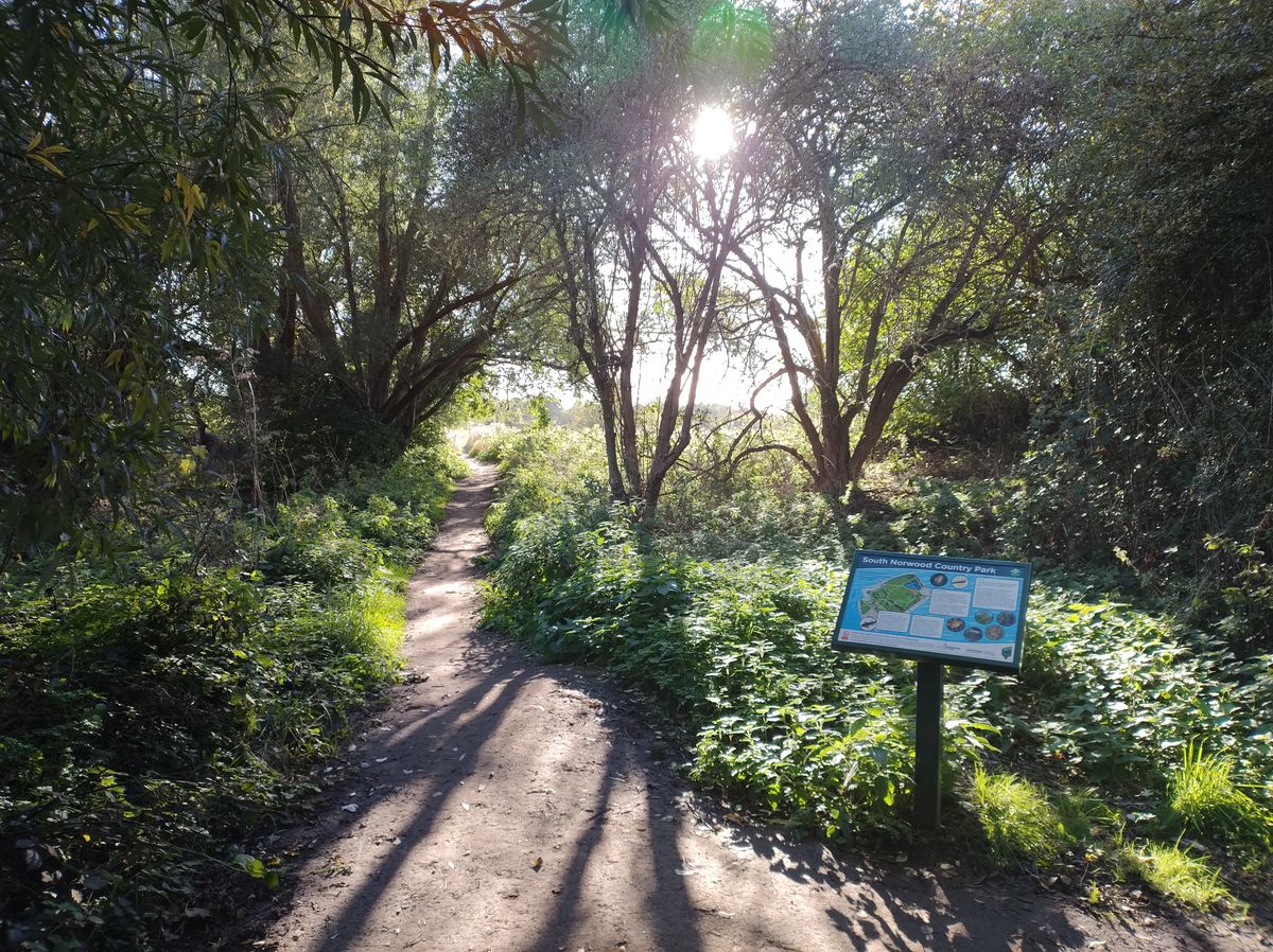 A Motorola Edge 30 Neo camera sample