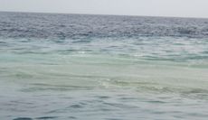 Green water seen by the researchers aboard the Sonne that indicated volcanic venting from the Monowai seamount.