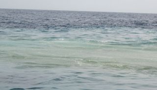 Green water seen by the researchers aboard the Sonne that indicated volcanic venting from the Monowai seamount.