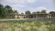 modern building built on a re-wilded landscape with wild flowers surrounding and a living roof