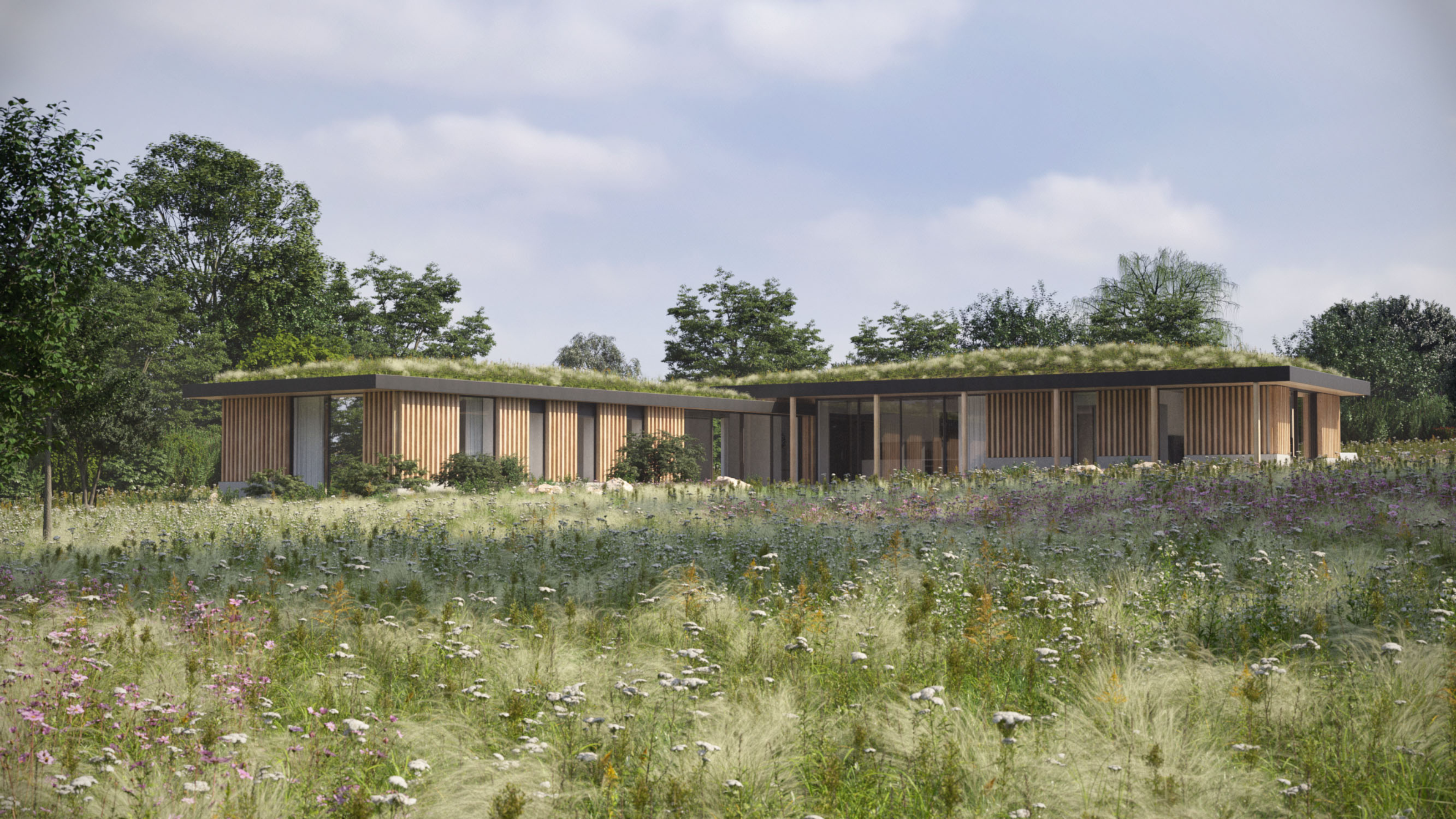 modern building built on a re-wilded landscape with wild flowers surrounding and a living roof 