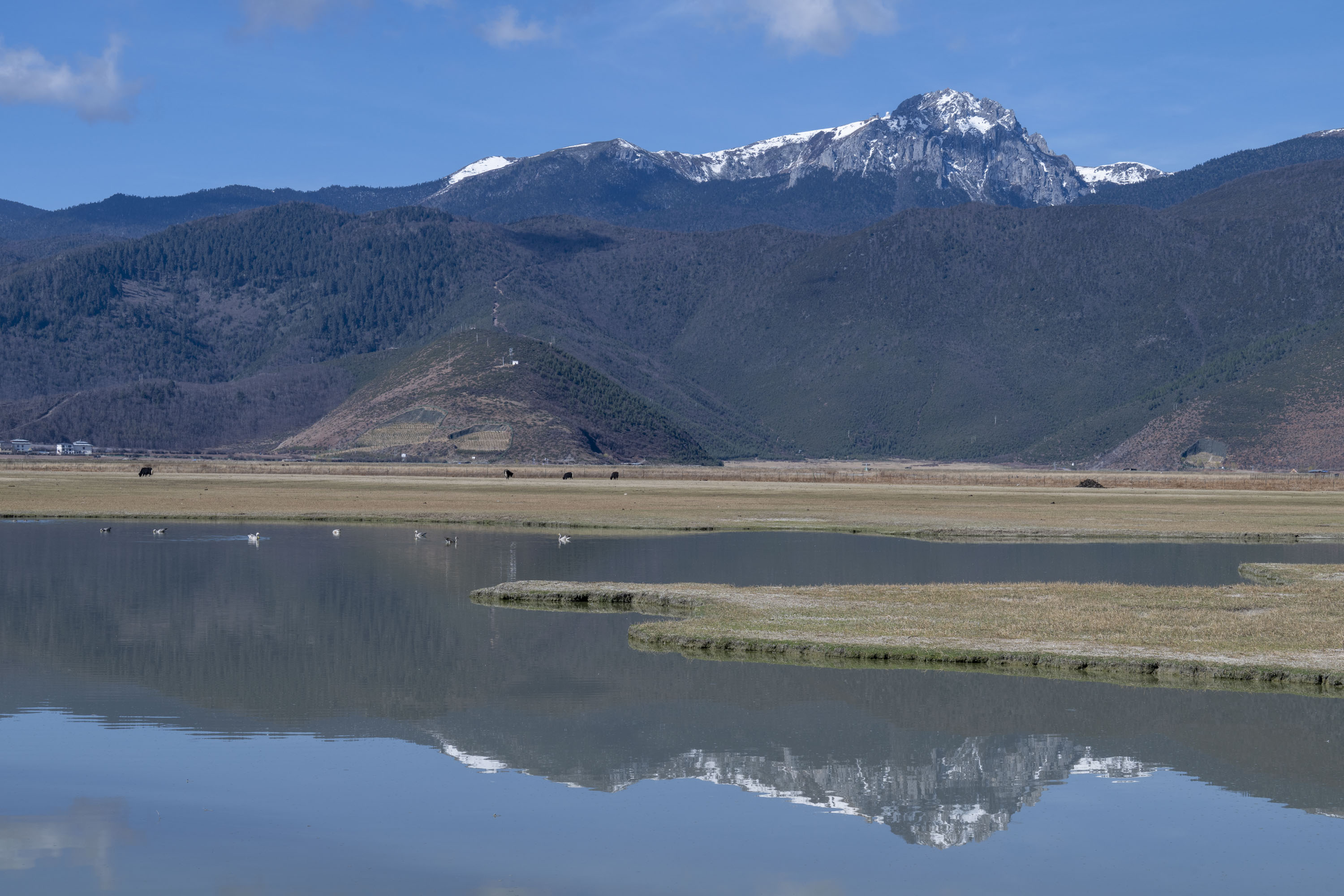 A snowcapped mountain, reflected in a perfectly still lake