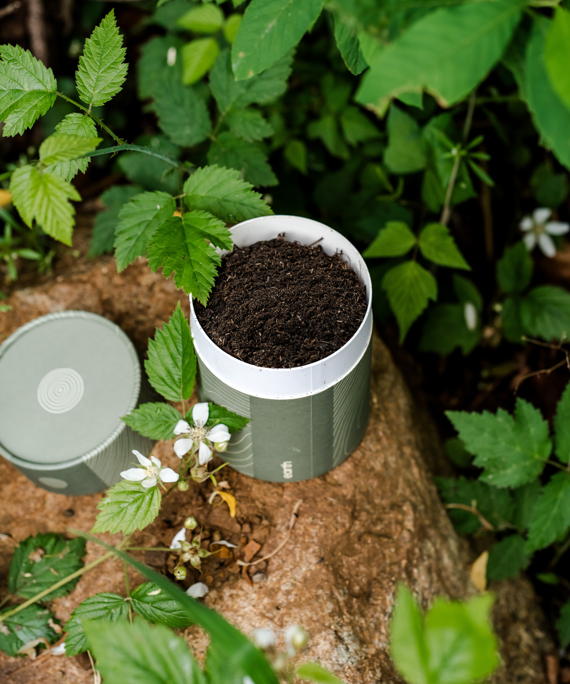 soil derived from human composting, terramation or natural organic reduction from Earth Funeral