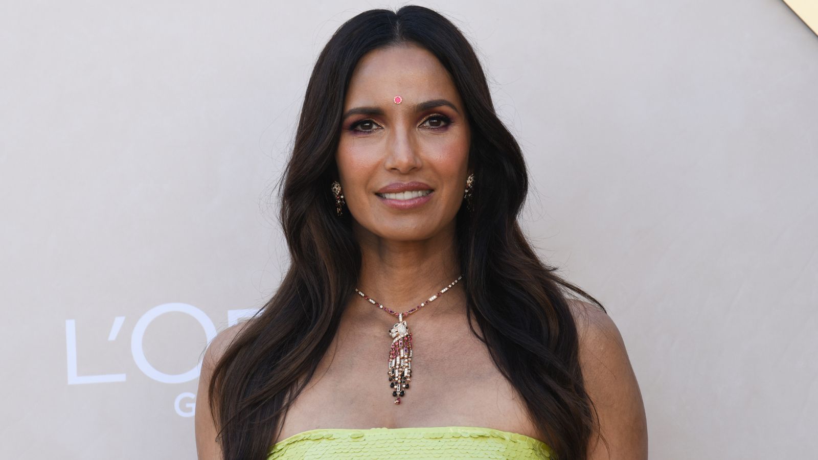 Padma Lakshmi's open shelves act as a two-in-one storage and decor solution – and they're painted this bold hue