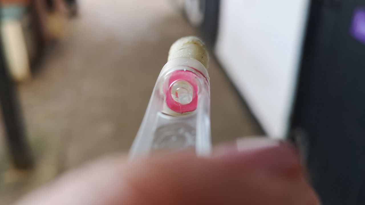 EquiSal Tapeworm Test partially completed swab