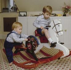 royal - harry, william