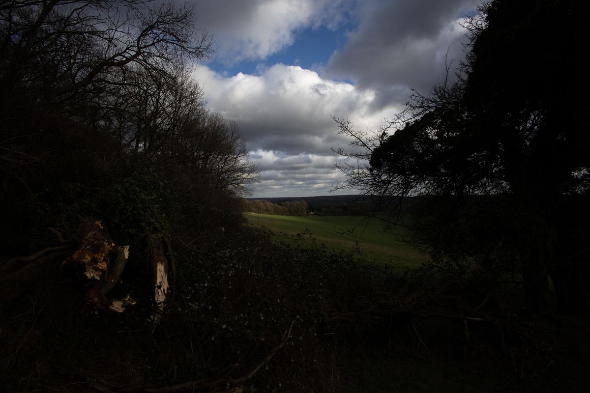 Trees surrounding a countryside view