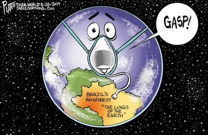 Political Cartoon Lungs Of The Earth Brazil Amazon Forest Fire