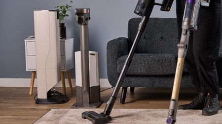 Homes Editor holding two vacuums with auto empty docks in the background