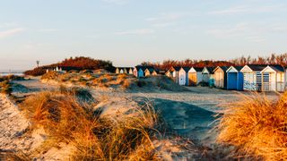 beach in Sussex