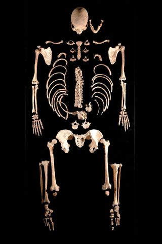skeleton of mesolithic hunter