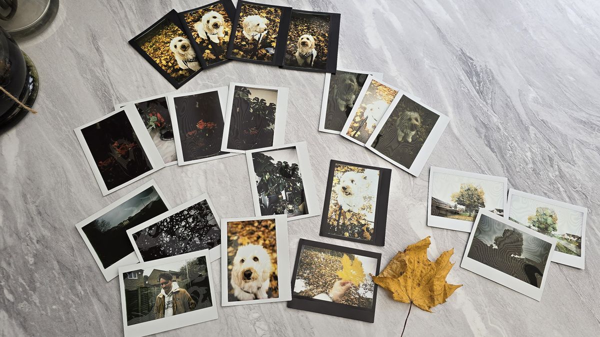 Lomo&rsquo;Instant Wide Glass sample images