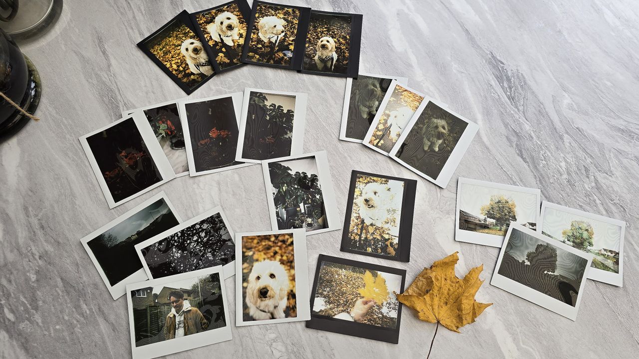 Lomo&rsquo;Instant Wide Glass sample images