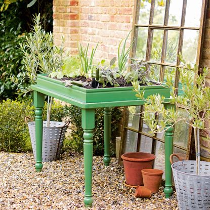 garden area with potted plants