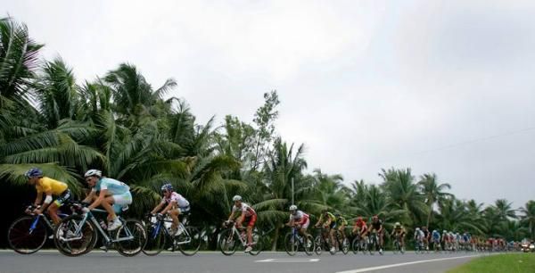 There are plenty of palm trees in Hainan.