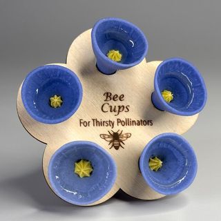 Blue violet bee cups