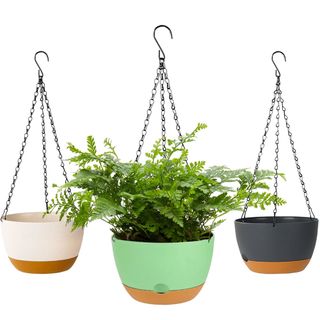 Walmart hanging planters