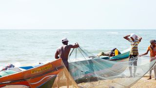 Negombo Fish Market, Negombo