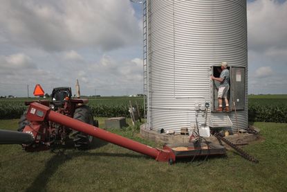 American farmer.