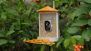 Picture of the Birdkiss bird feeder with smart camera