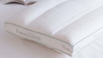 Sealy Zonal Support pillow