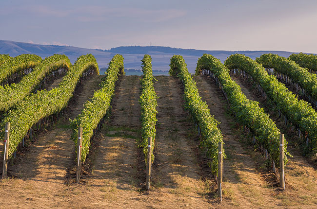 Washington State wineries, Gramercy Cellars