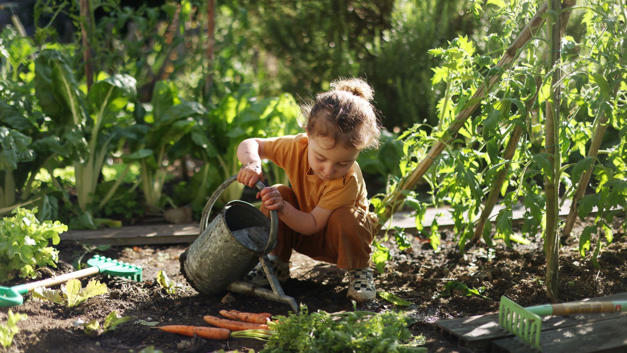 A child gardening in a vegetable garden