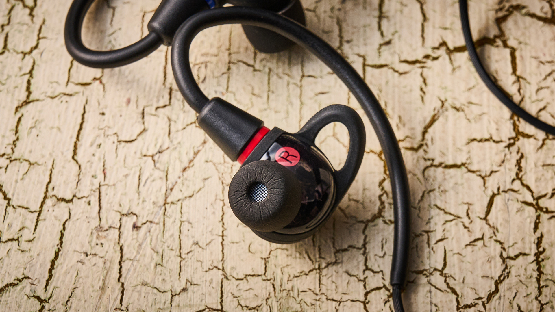 Sony IER-M500