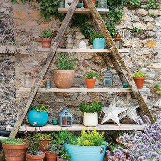 step ladder with plants