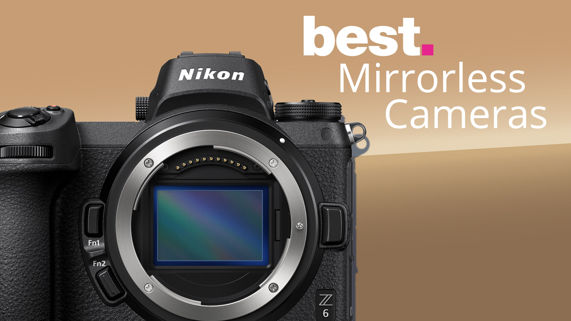 Best Mirrorless Camera 2021 | Christmas Day 2020