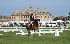 Mary King rides Hovis Belton